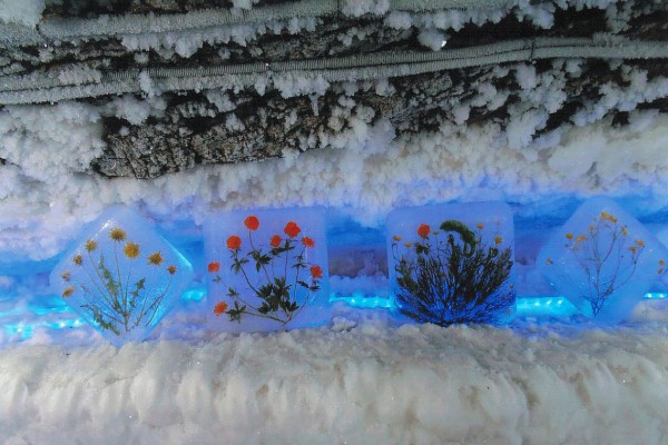 Permafrost-Museum: Eisblumen im Permafrost - Russlandvortrag Brück