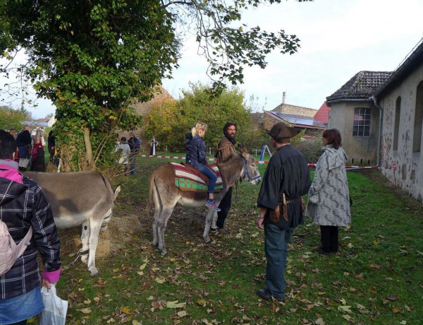 Lutherfest Neuendorf - Auch die Esel waren da