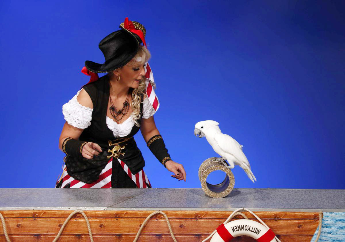 Piraten-Papageien-Show